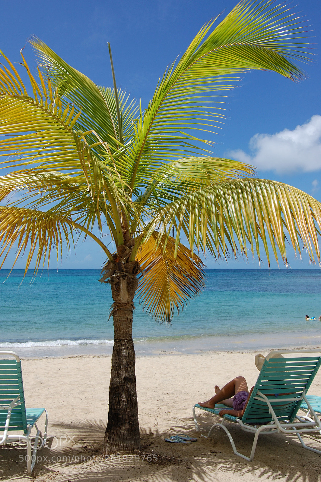 Nikon D40 sample photo. Relax photography