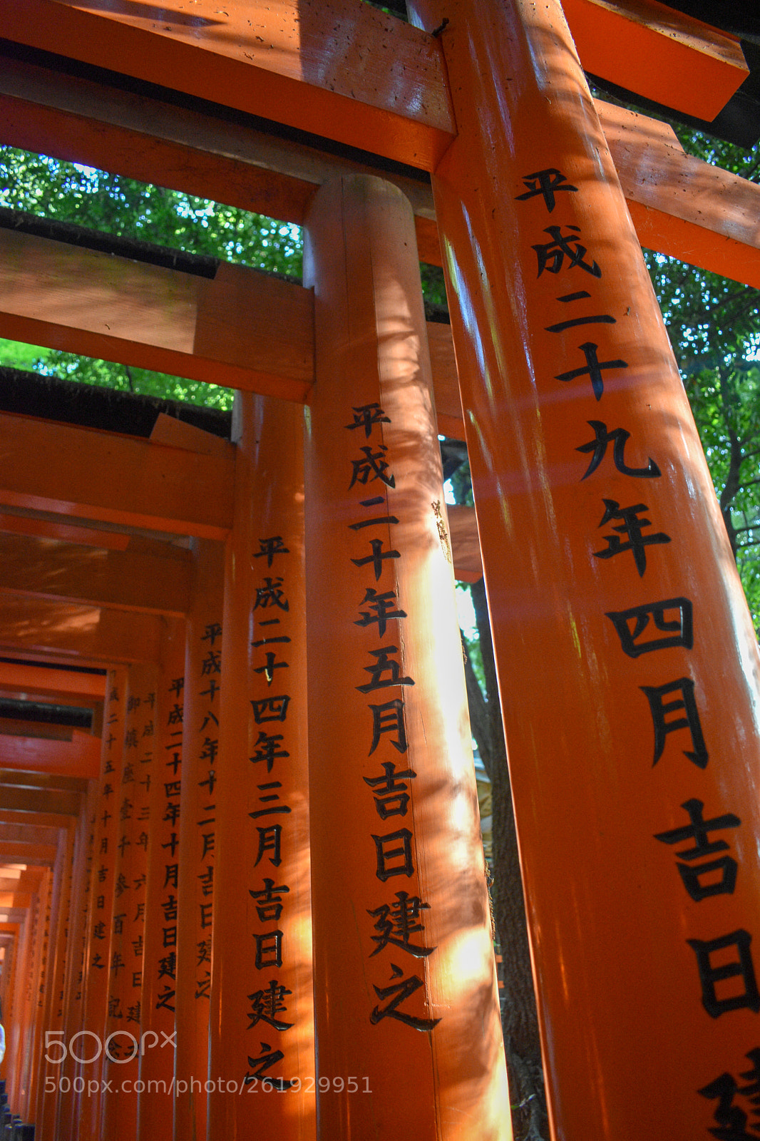 Nikon D3400 sample photo. Dsc photography
