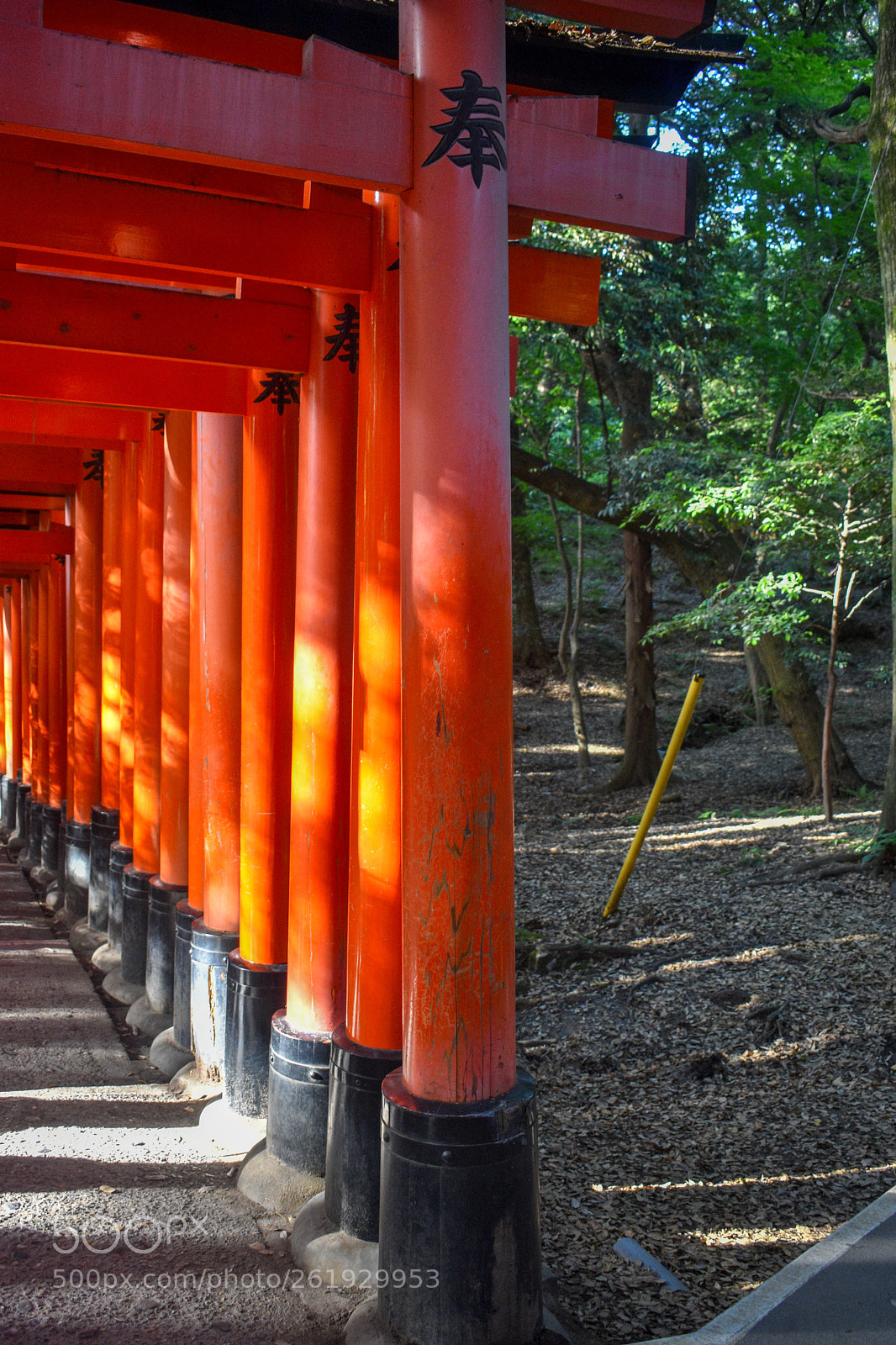 Nikon D3400 sample photo. Dsc photography