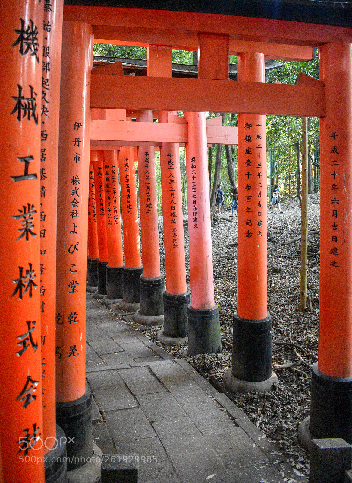 Nikon D3400 sample photo. Dsc photography
