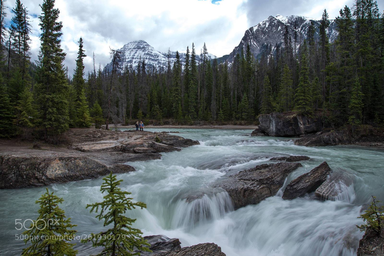 Nikon D610 sample photo. Athabasca river photography