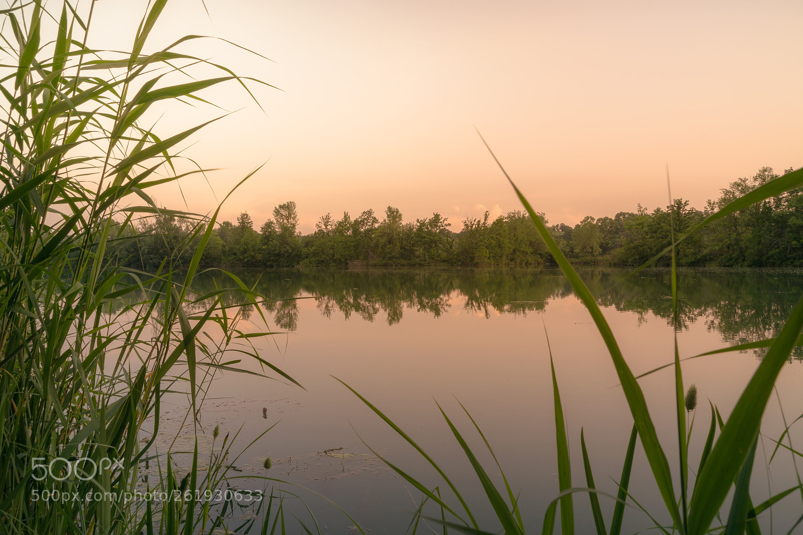 Nikon D3300 sample photo. Surrounded by nature photography
