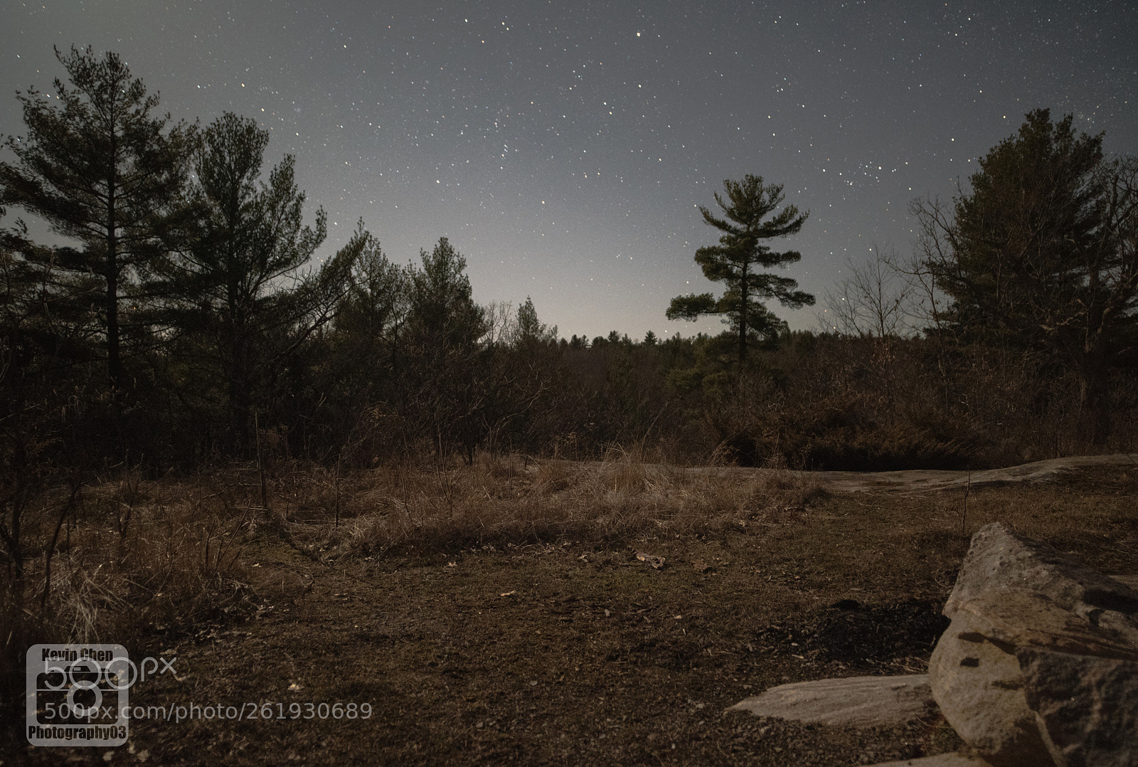 Nikon D810 sample photo. Stars photography