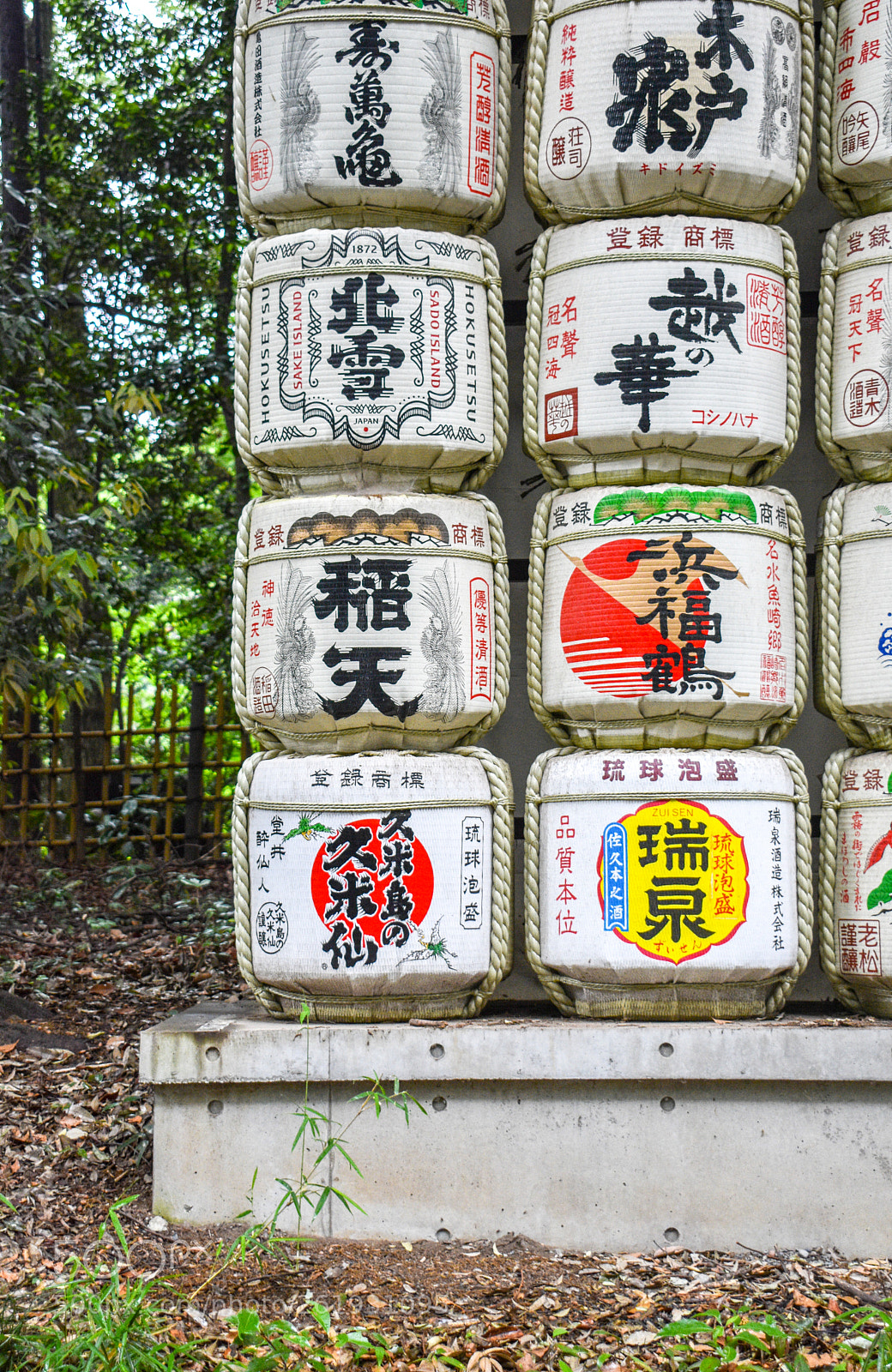 Nikon D3400 sample photo. Dsc photography