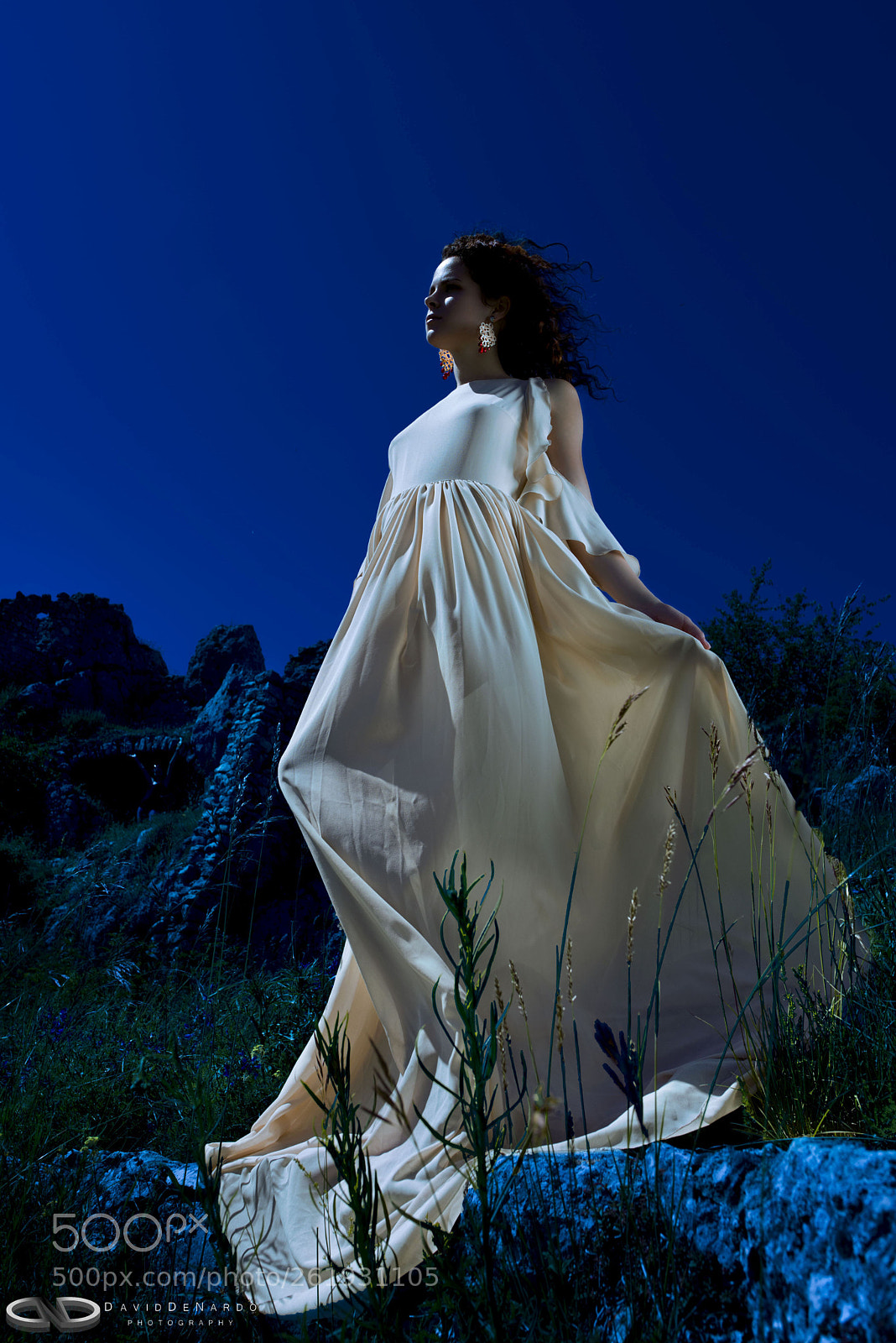 Nikon D810 sample photo. Inner moonlight photography