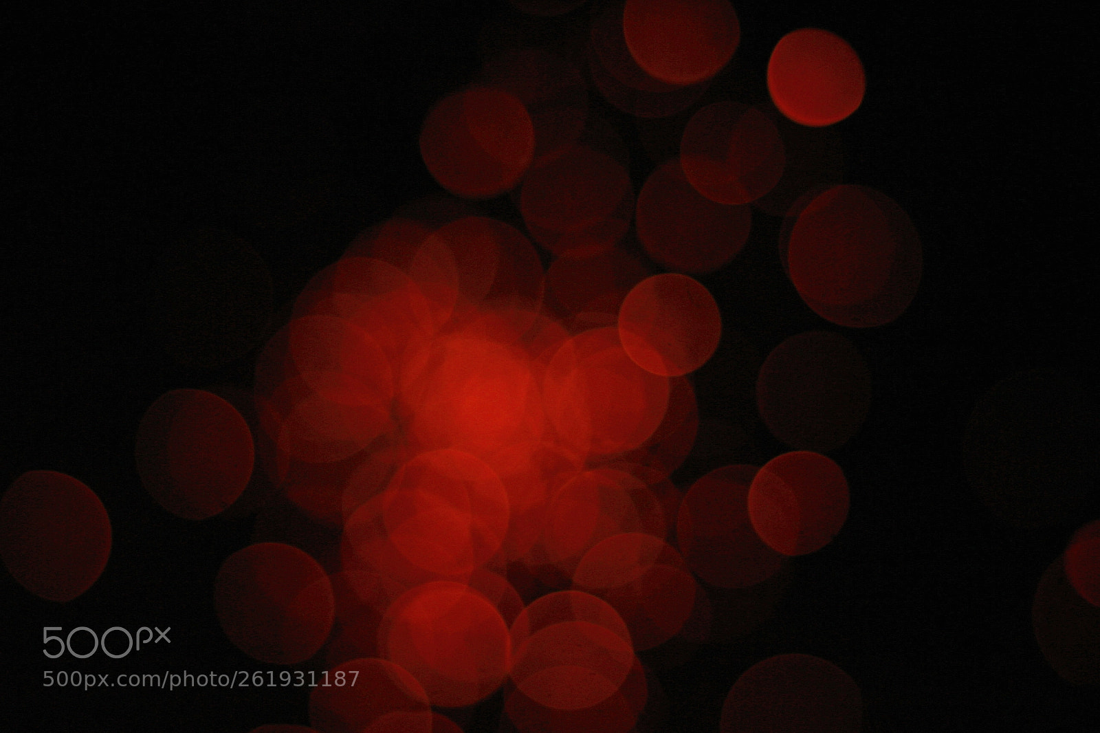 Canon EOS 700D (EOS Rebel T5i / EOS Kiss X7i) sample photo. Blood cells photography