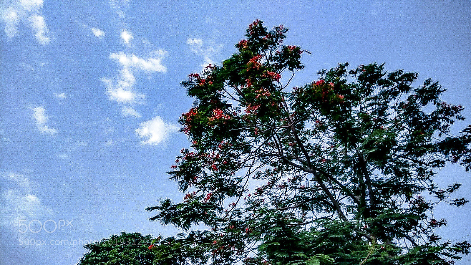 Xiaomi Redmi Note 4 sample photo. Untitled photography
