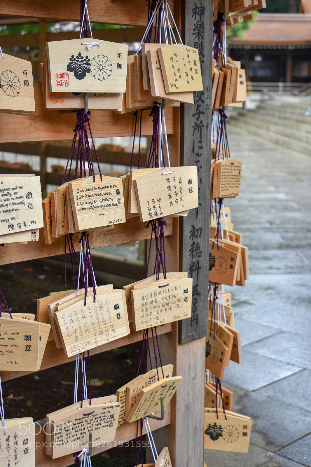 Nikon D3400 sample photo. Dsc_0533-2.jpg photography