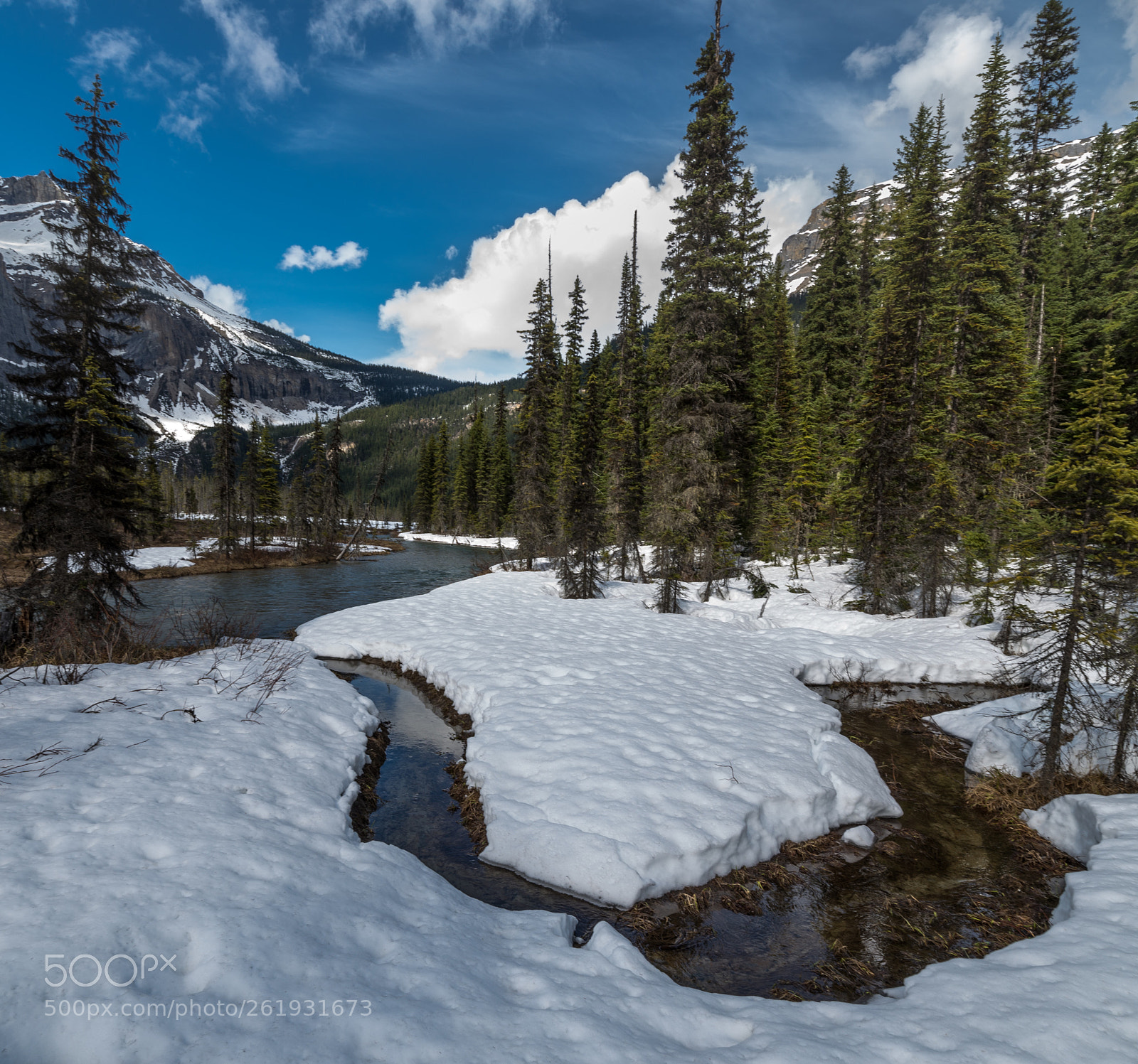 Nikon D610 sample photo. Emerald lake trail photography