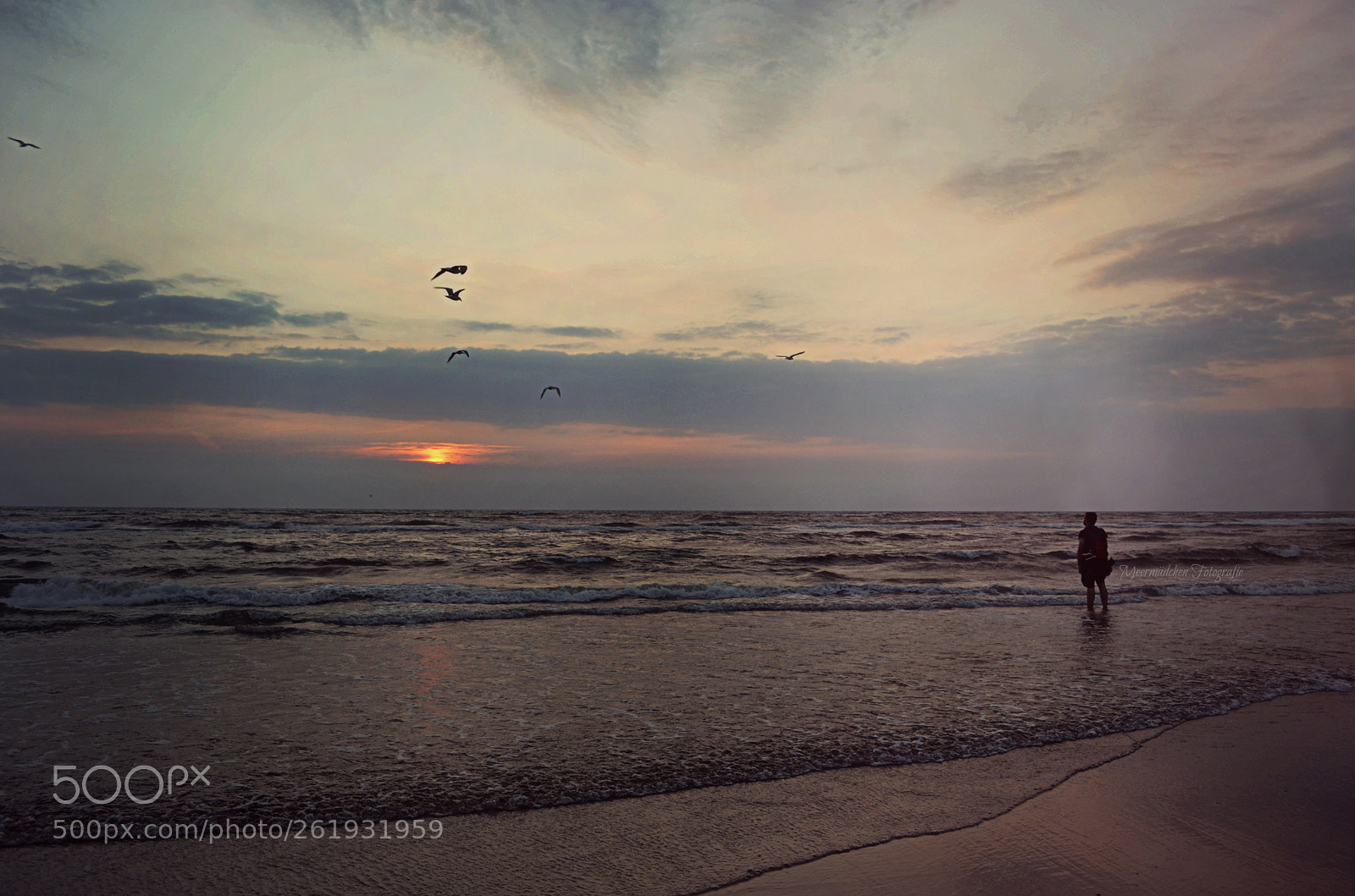 Nikon D5100 sample photo. North sea photography