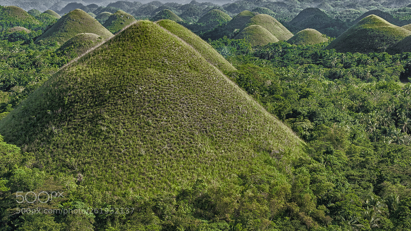 Nikon D80 sample photo. Chocolate hills photography
