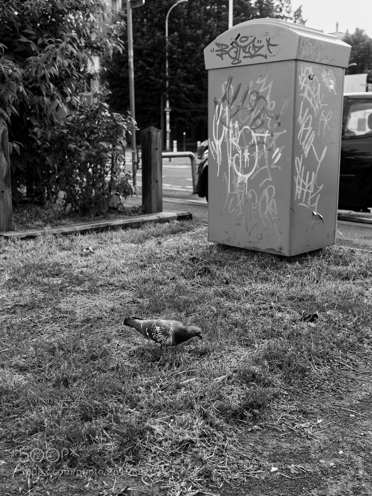 Panasonic Lumix DC-GX9 sample photo. La rel ve du photography