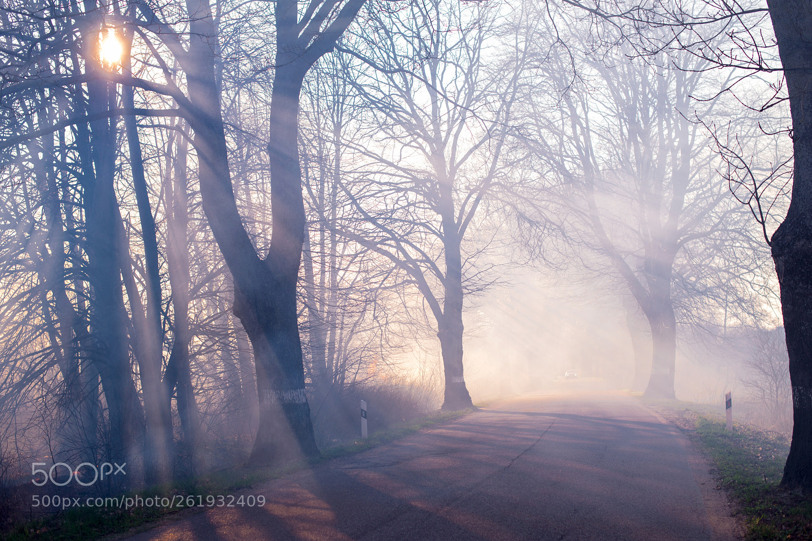 Nikon D610 sample photo. Road photography