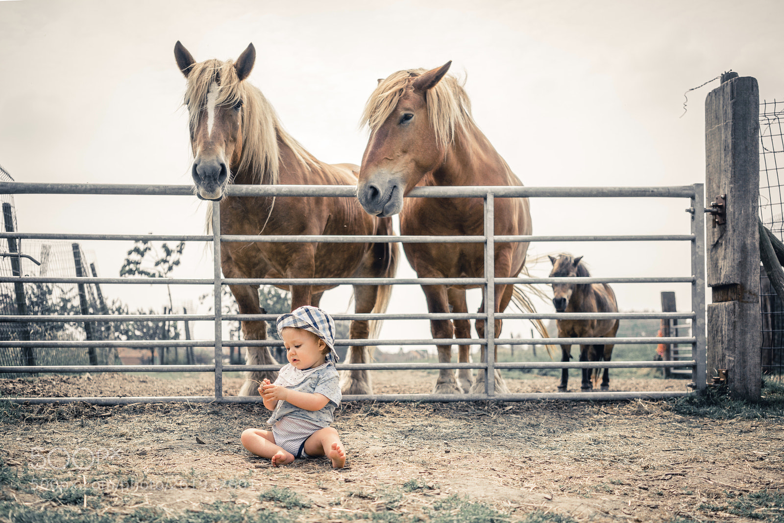 Sony a7R sample photo. Untitled photography