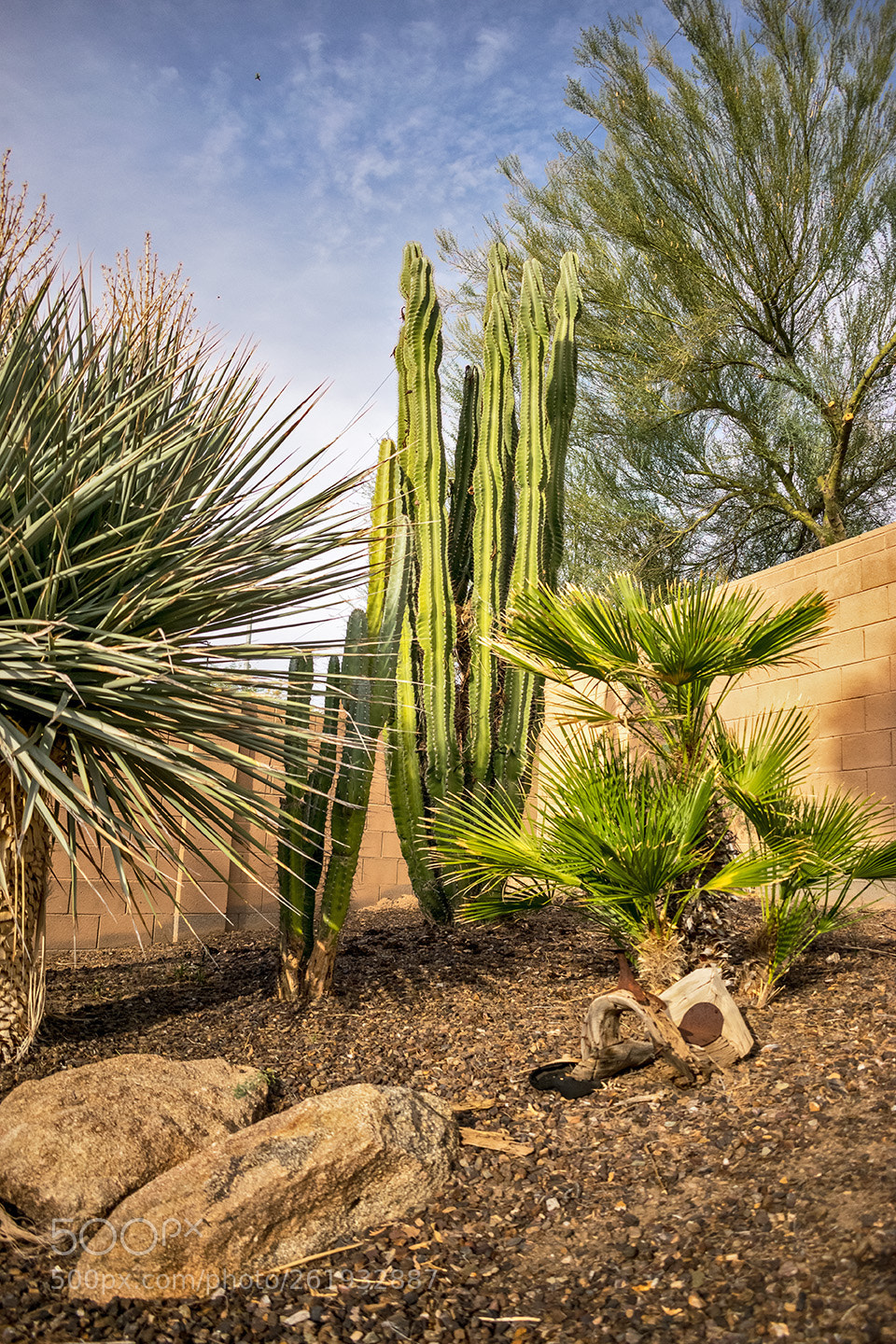 Nikon D5300 sample photo. Relaxing desert scenery photography