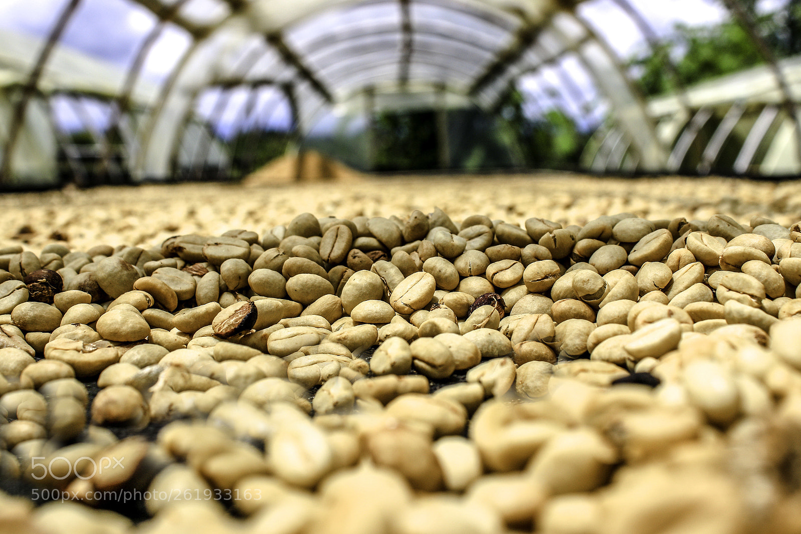 Canon EOS 70D sample photo. Café colombiano  photography