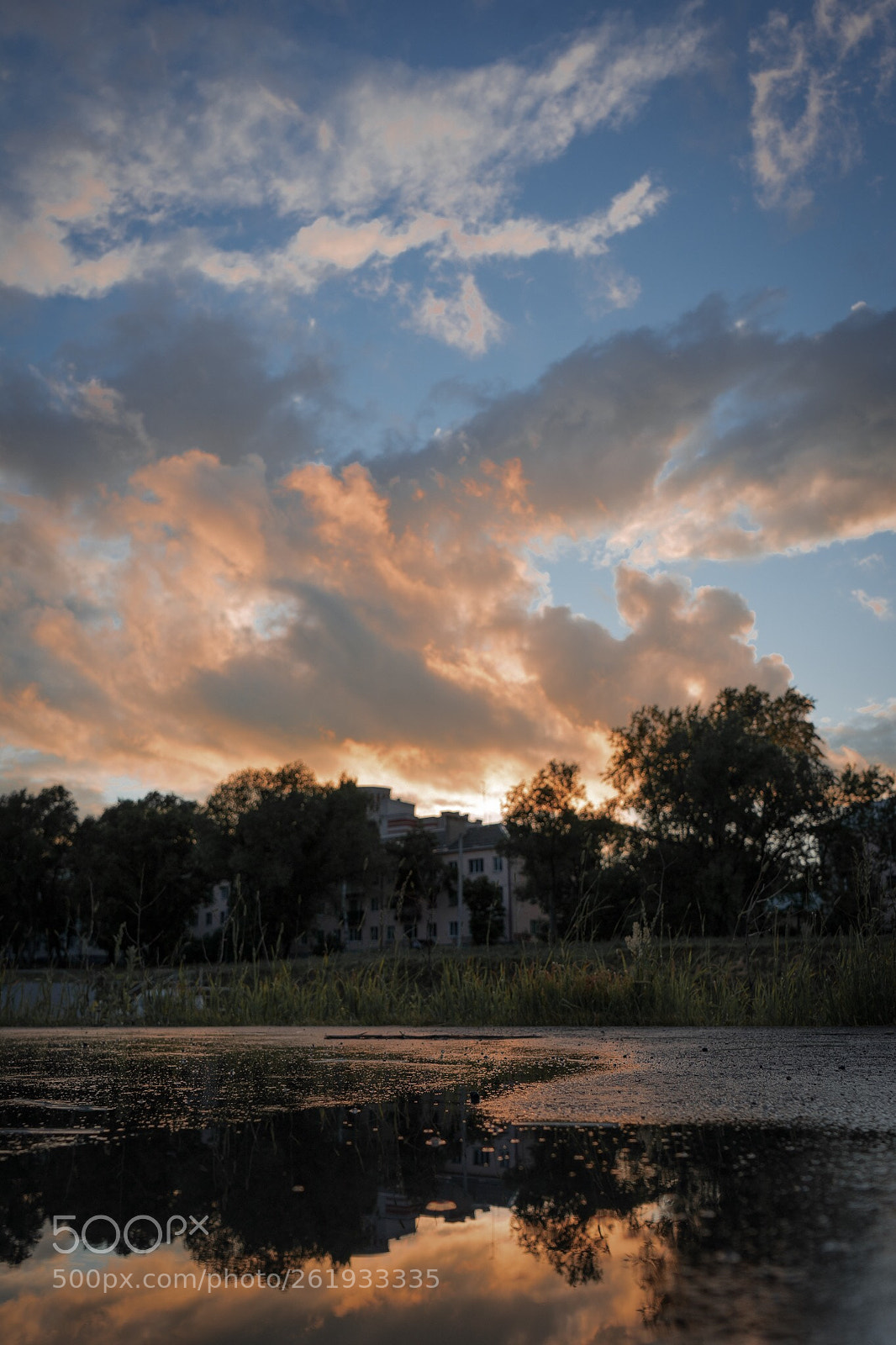 Sony a7 II sample photo. Untitled photography