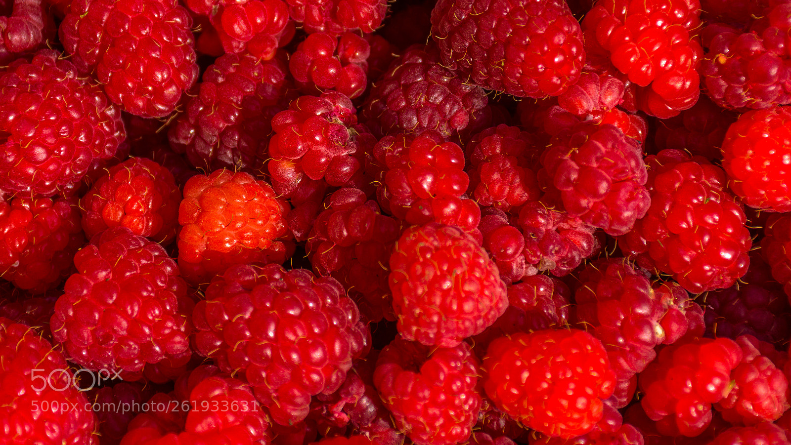 Nikon D7200 sample photo. Red raspberries photography