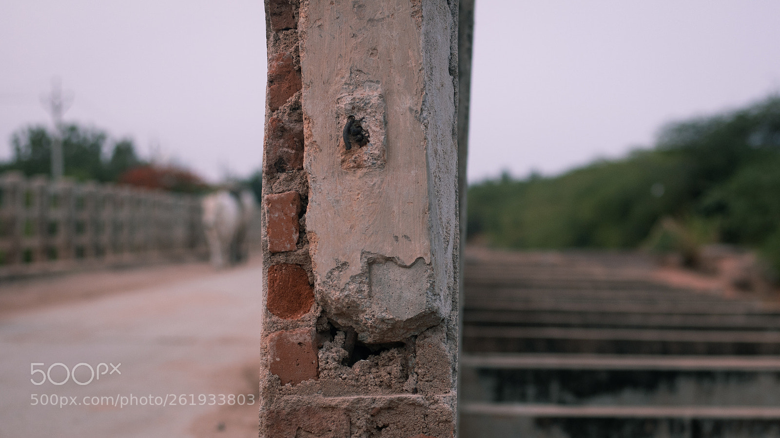 Canon EOS 750D (EOS Rebel T6i / EOS Kiss X8i) sample photo. Img photography
