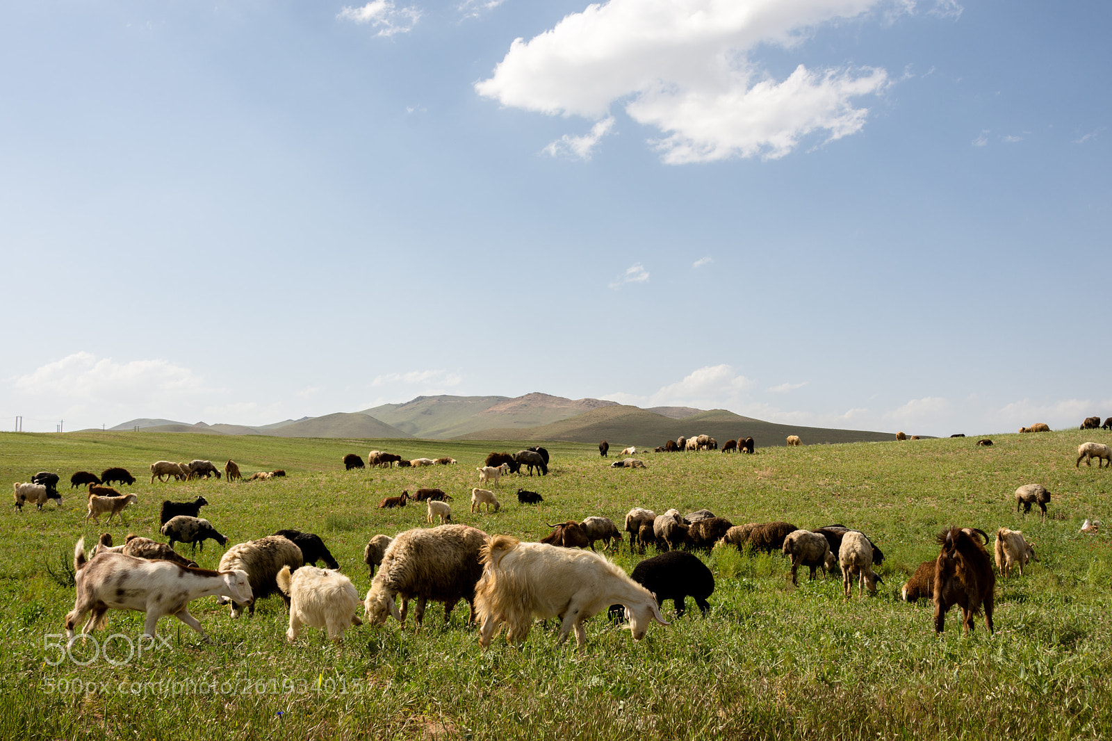 Nikon D7200 sample photo. Landscape photography