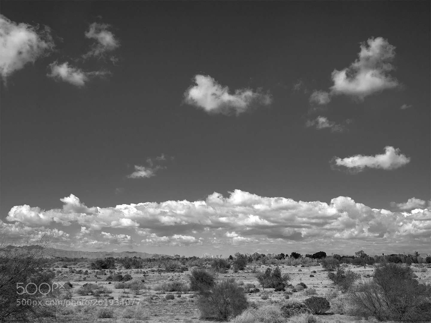 Olympus PEN E-PL5 sample photo. Black and white desert photography