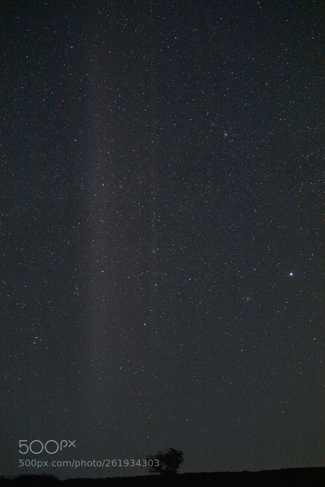 Nikon D810 sample photo. Star night photography