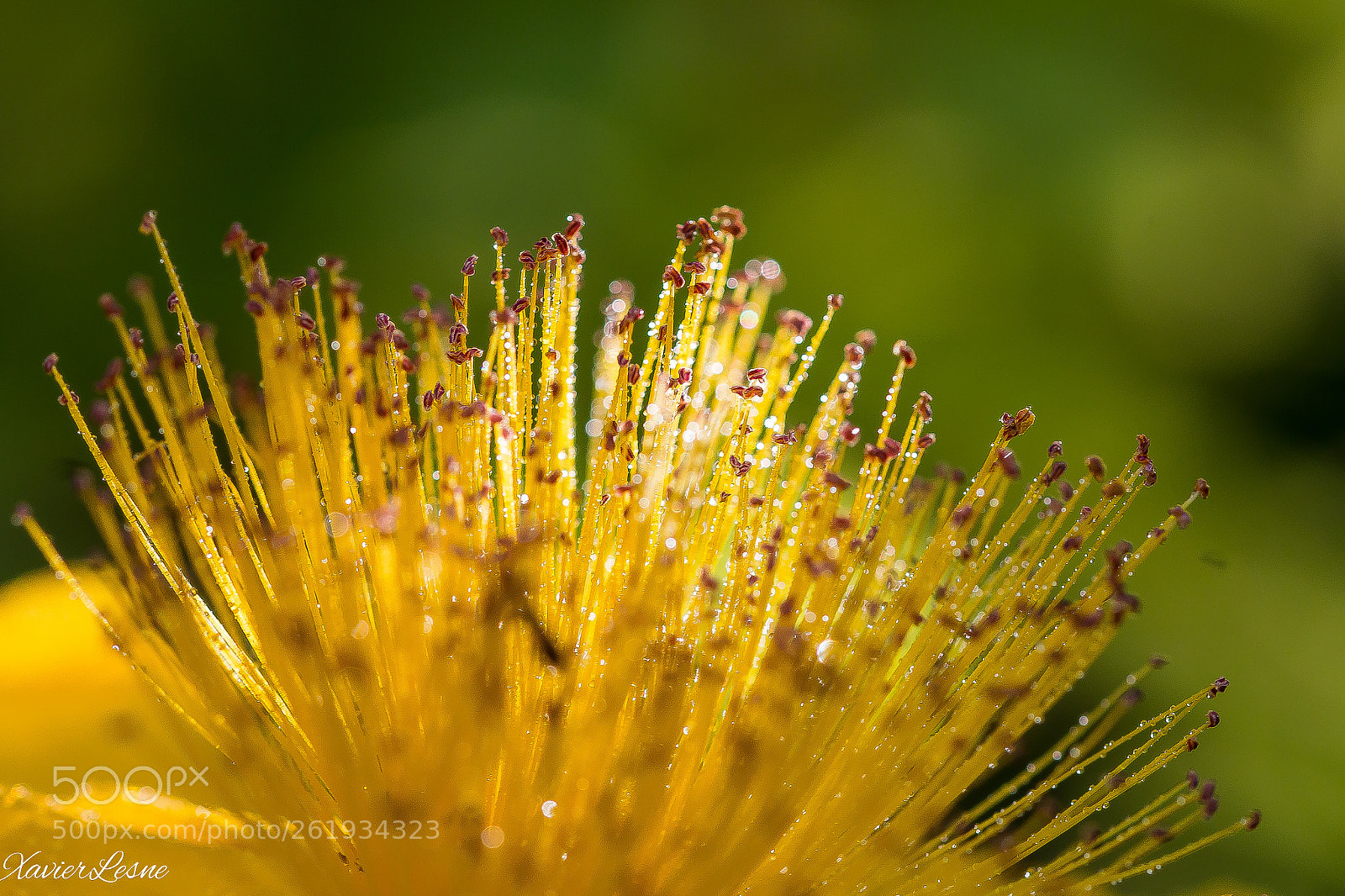 Canon EOS 70D sample photo. Millepertuis photography