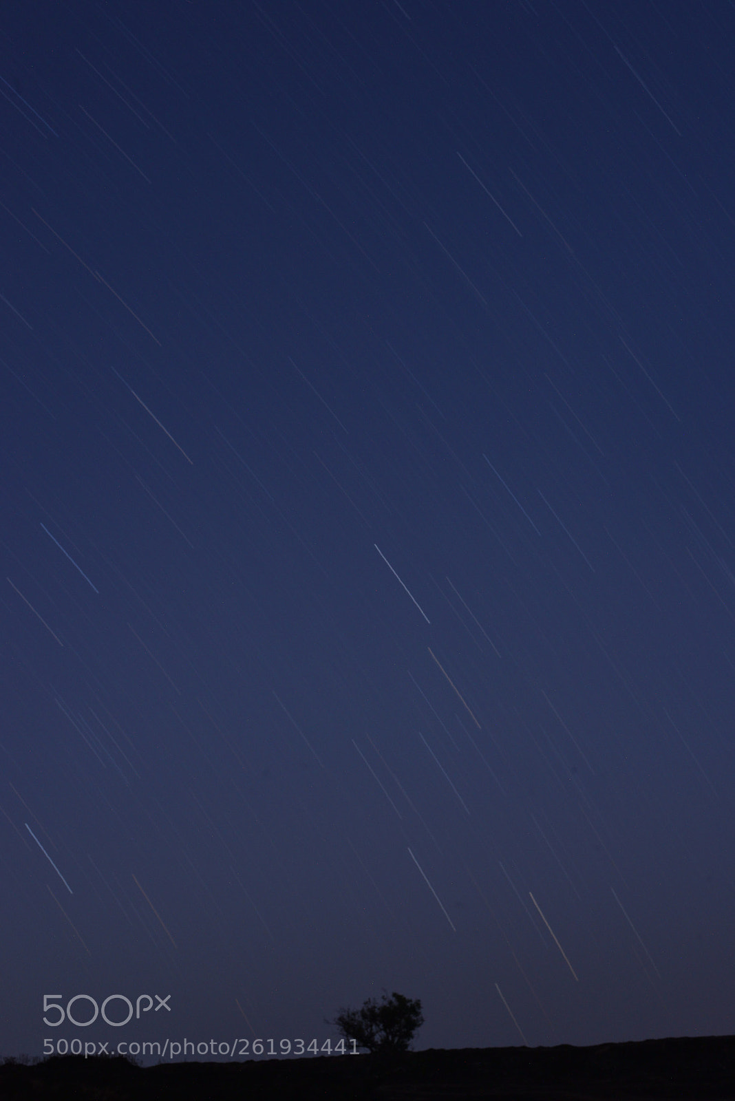 Nikon D810 + Nikon AF-S Nikkor 50mm F1.8G sample photo. Star night photography