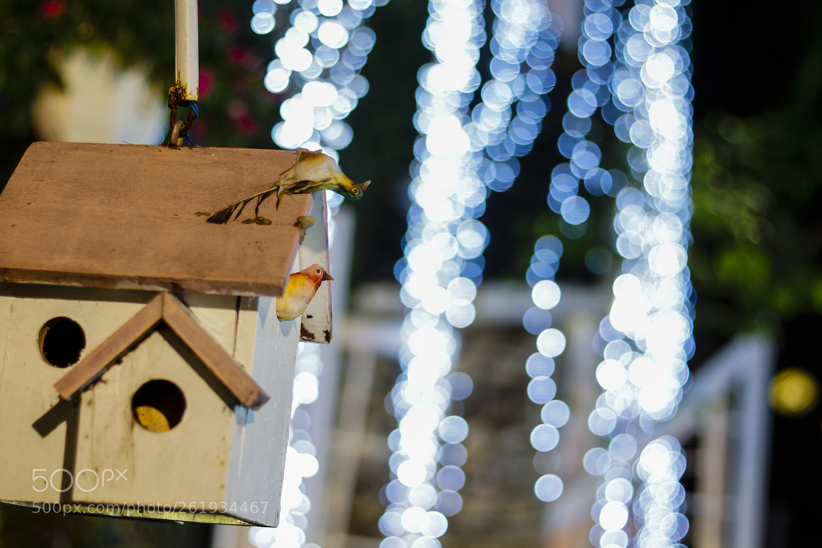 Sony SLT-A65 (SLT-A65V) sample photo. Bokeh photography