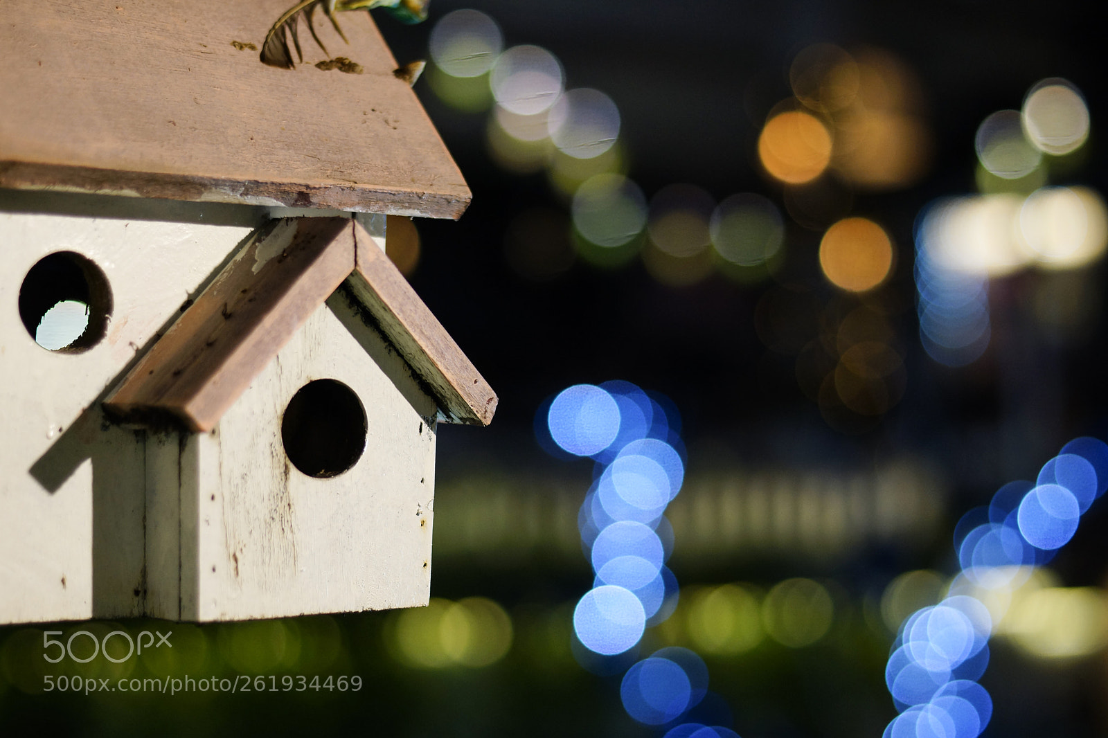 Sony SLT-A65 (SLT-A65V) sample photo. Bokeh photography