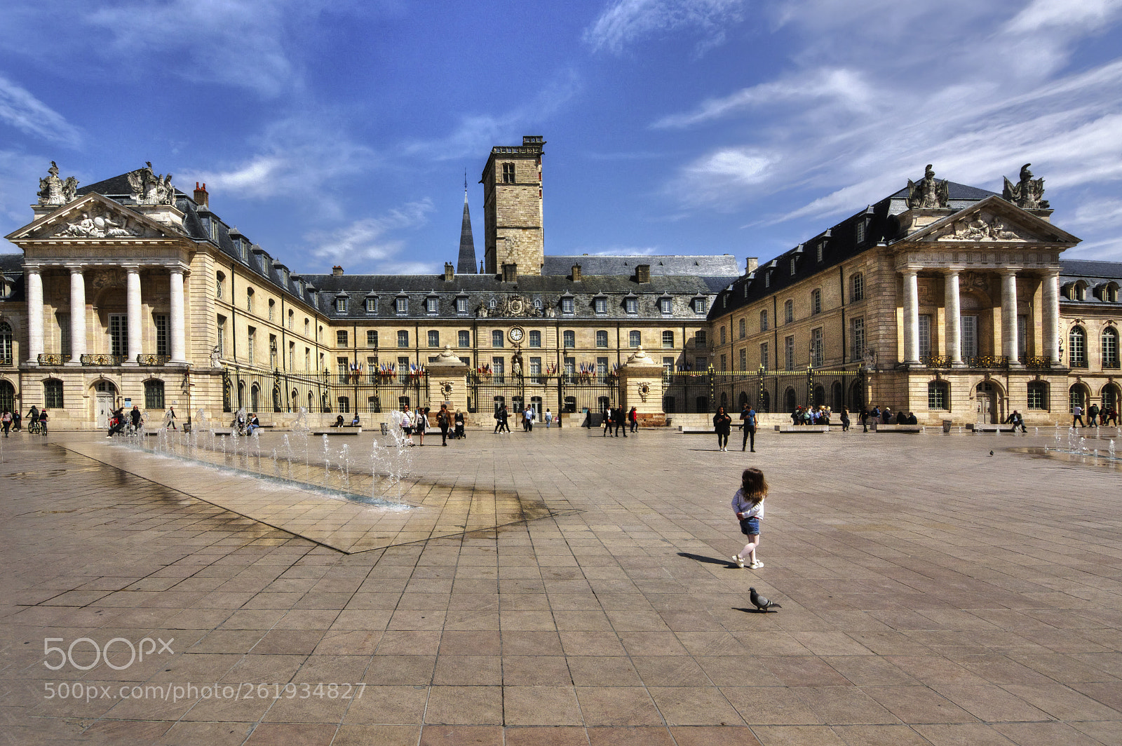 Nikon D7100 sample photo. Dijon :  le palais ducal photography