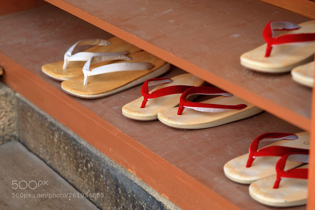 Canon EOS-1D Mark III sample photo. Sandals photography