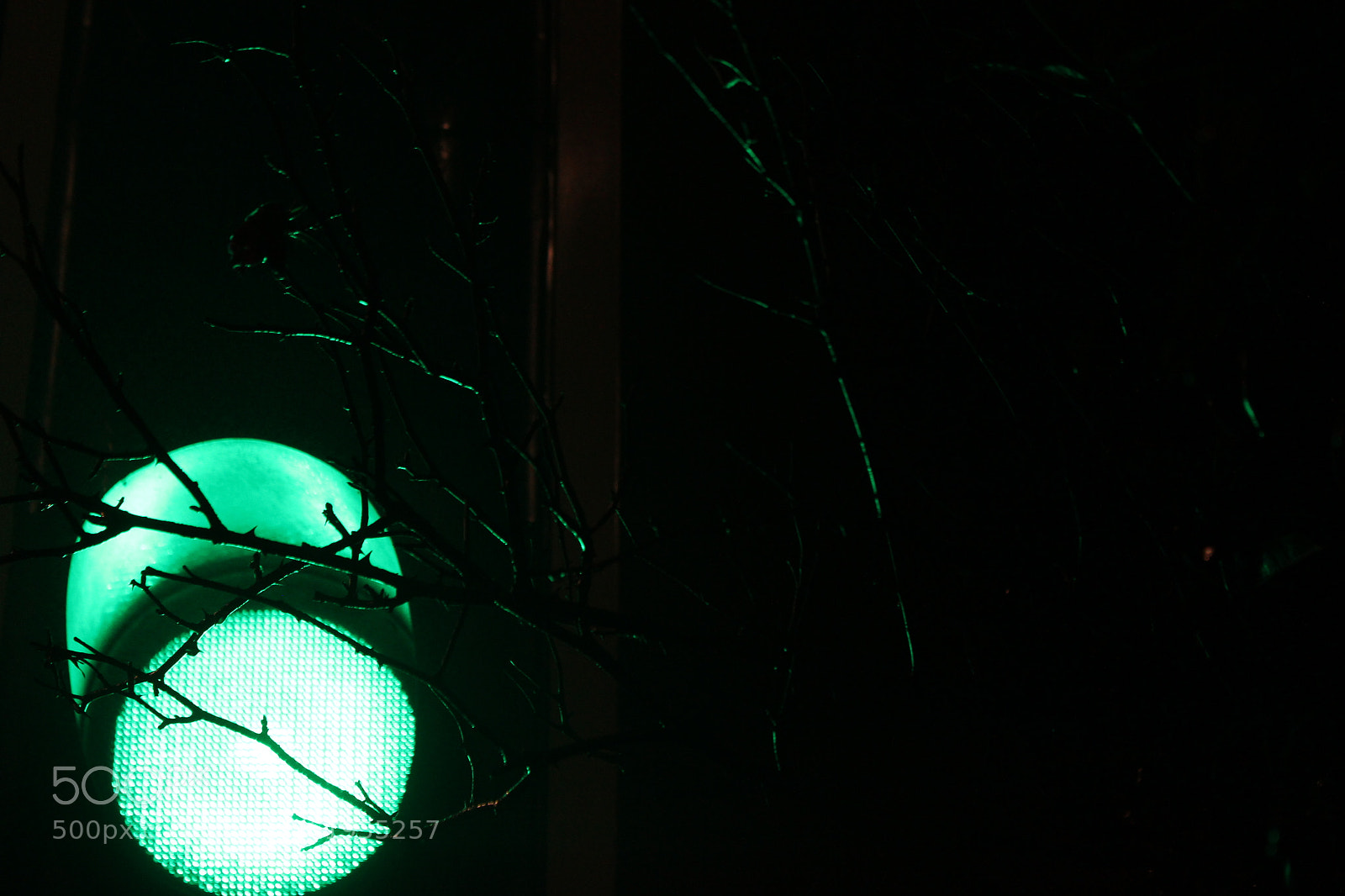 Canon EOS 550D (EOS Rebel T2i / EOS Kiss X4) sample photo. Beacon. photography