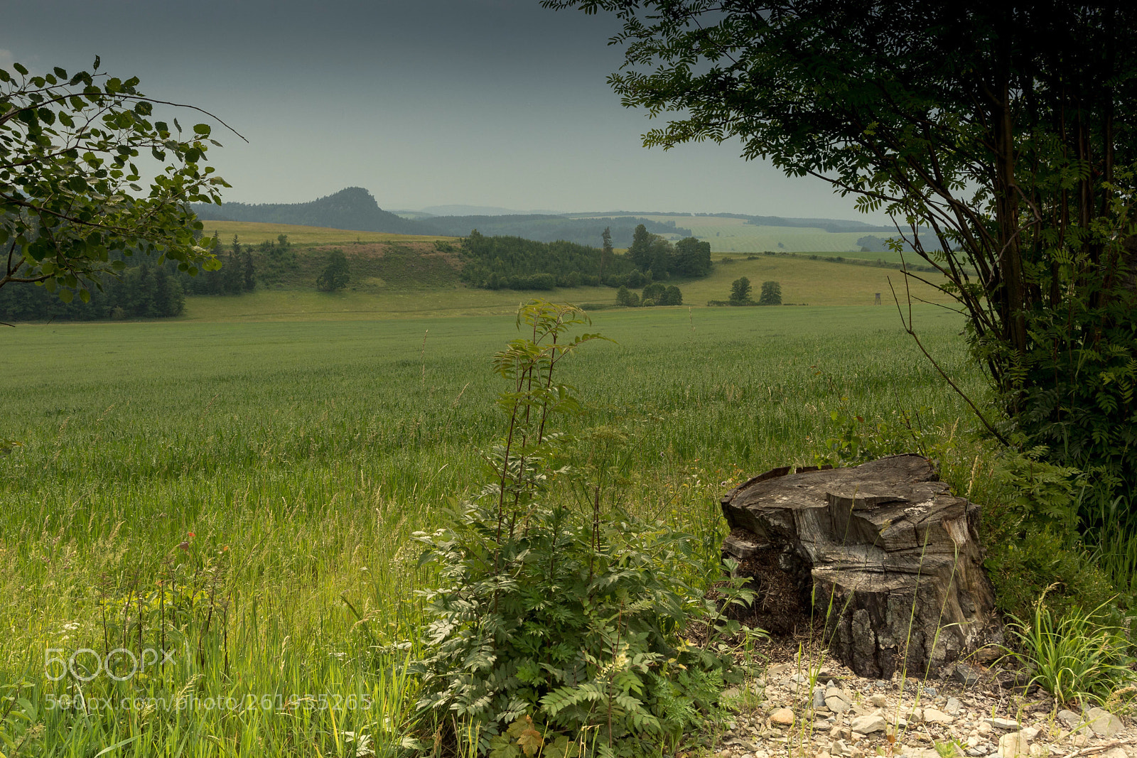 Nikon D7200 sample photo. After the storm  photography