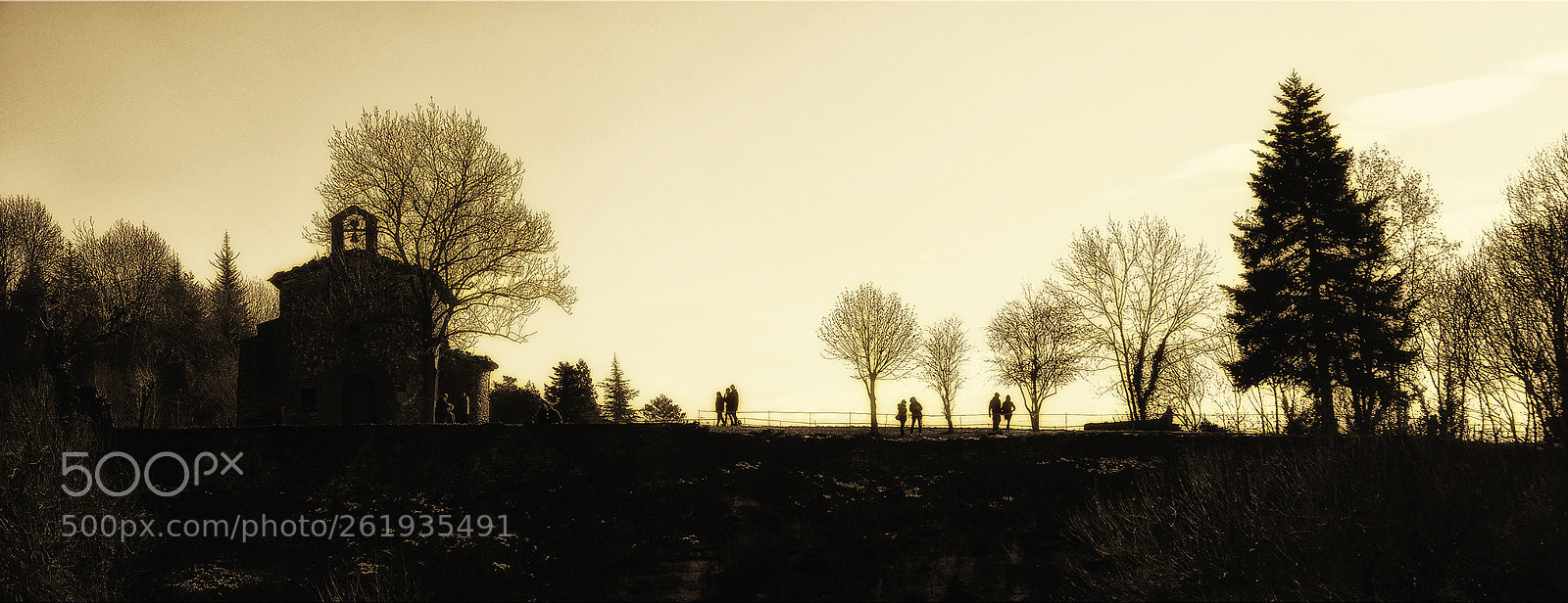 Nikon D5100 sample photo. Landscape in yellow photography