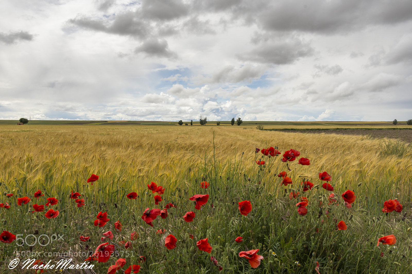 Nikon D7200 sample photo. Atmósfera de primavera photography