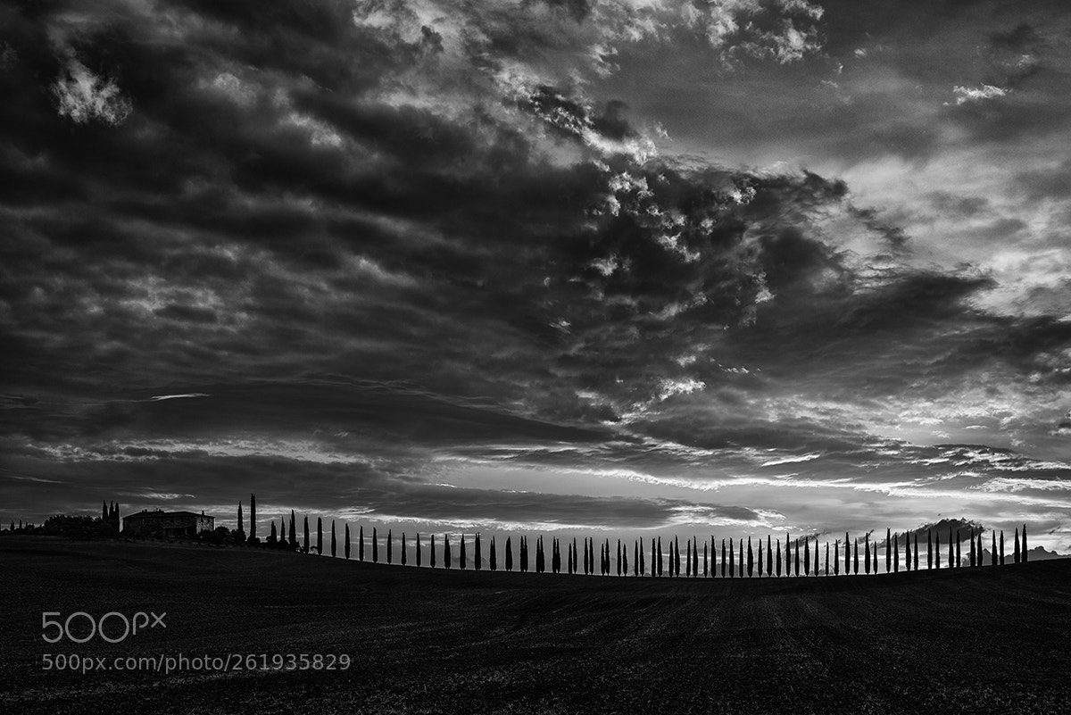Nikon D810 sample photo. Tuscan dawn 4 photography