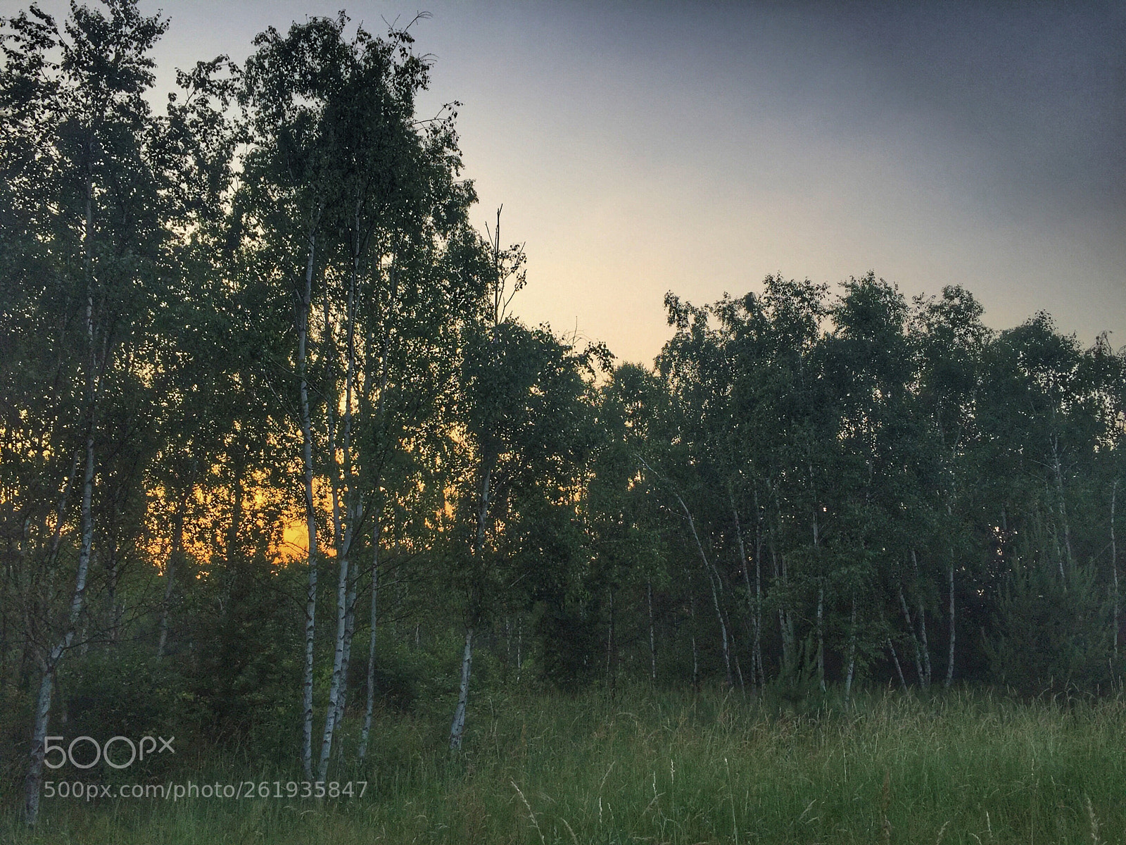 Apple iPhone 6 sample photo. Sunset photography
