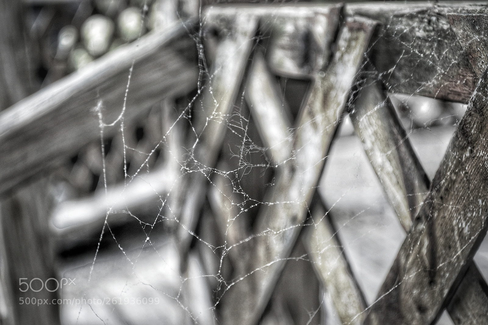 Nikon D3100 sample photo. Web we weave photography