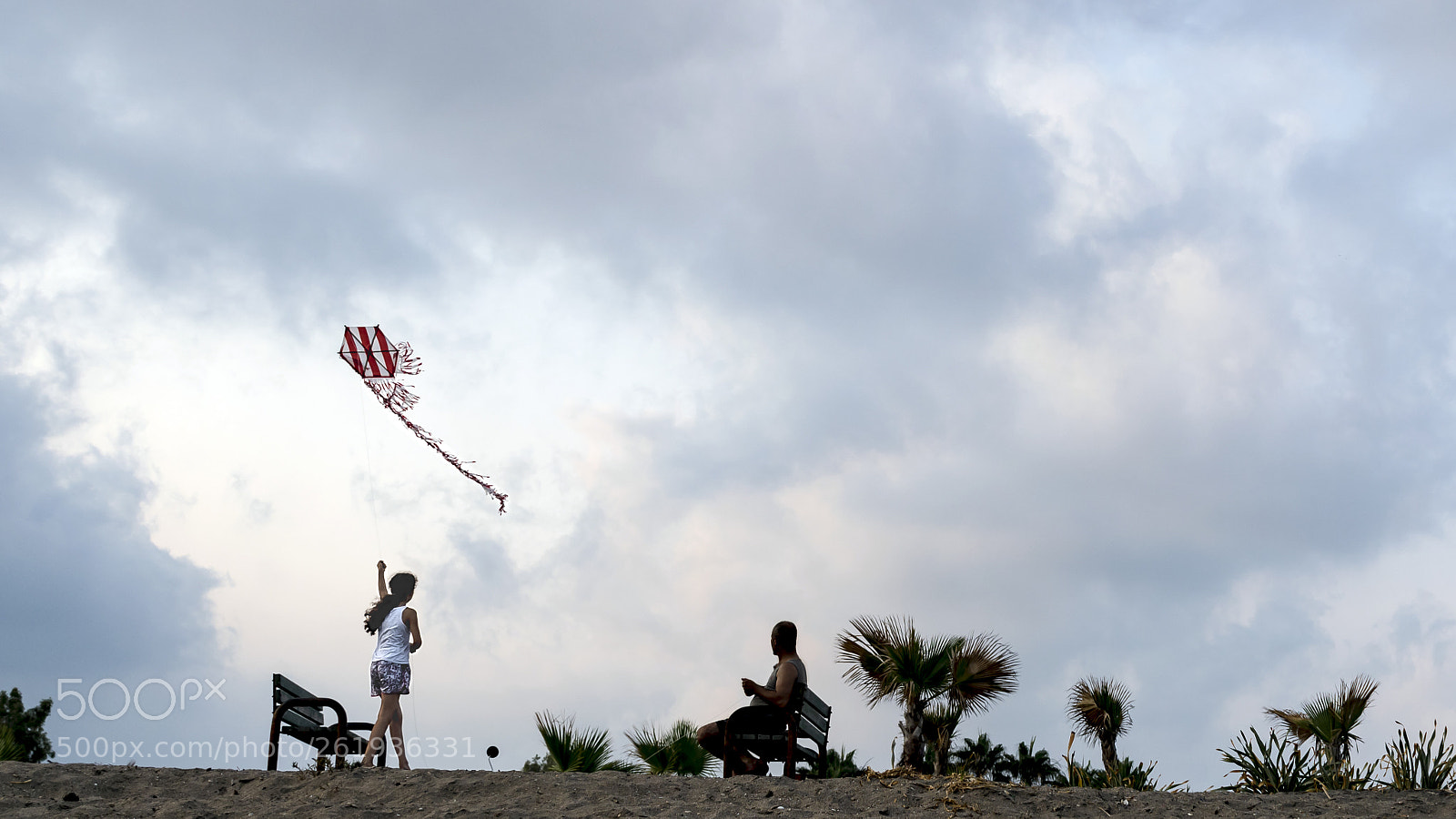 Nikon D5600 sample photo. Kite photography