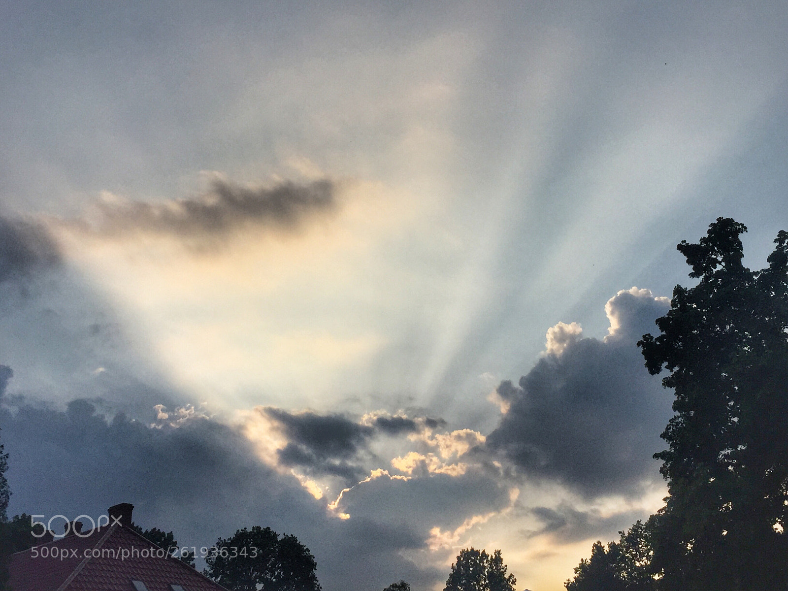 Apple iPhone 6 sample photo. Cloud photography
