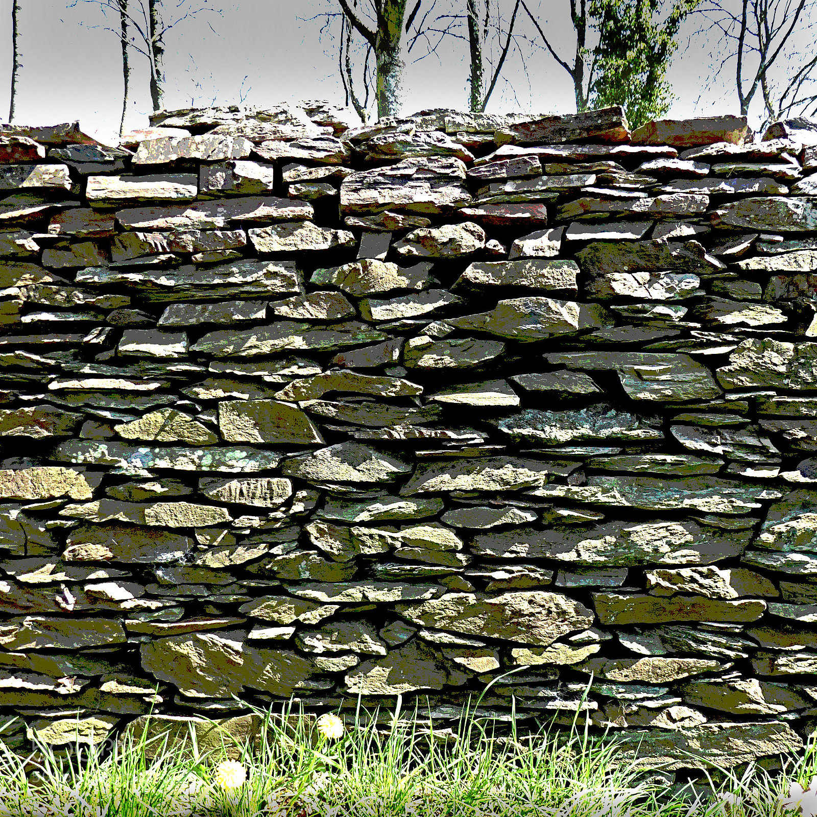 Panasonic Lumix DMC-ZS50 (Lumix DMC-TZ70) sample photo. Stone wall photography
