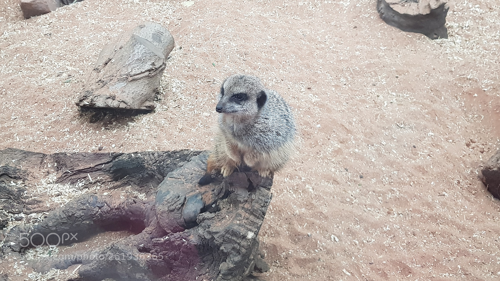 Samsung Galaxy S8 sample photo. 20180529_133300.jpg photography