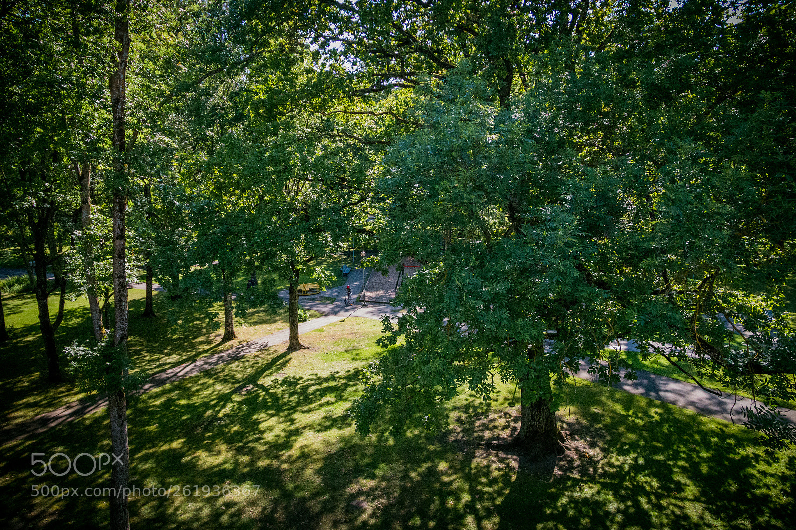 Canon EOS 70D sample photo. Summer park photography