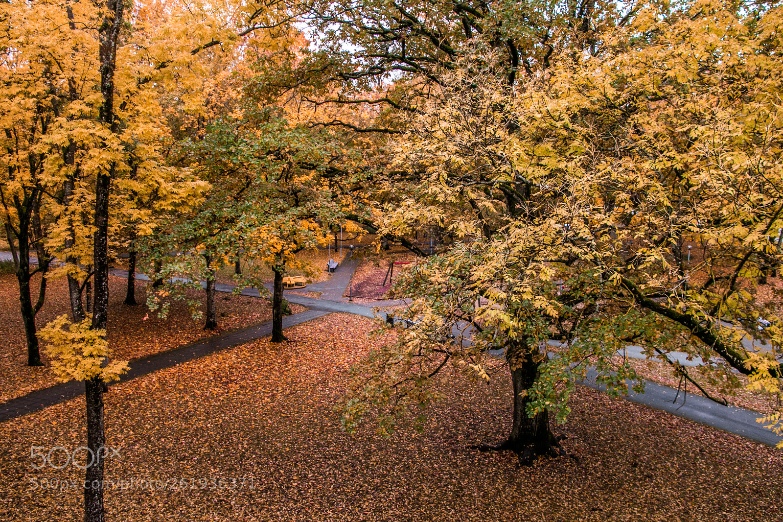 Canon EOS 70D sample photo. Autumn park photography