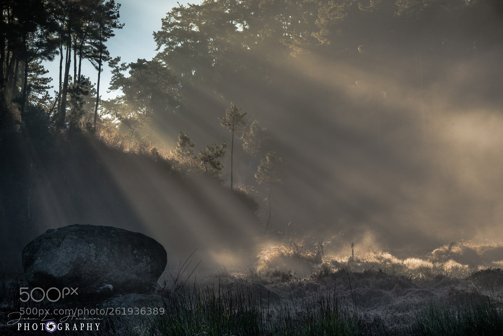 Sony a6300 sample photo. Misty sunrise photography
