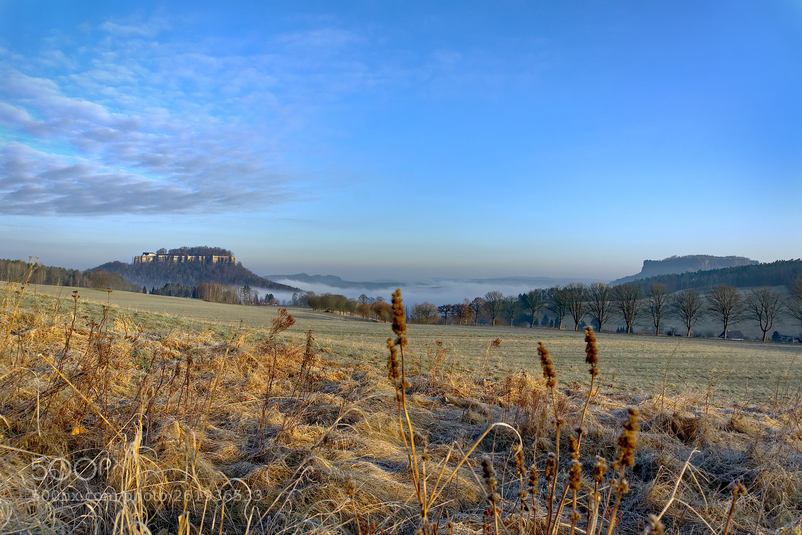 Sony a6000 sample photo. Tal im nebel photography