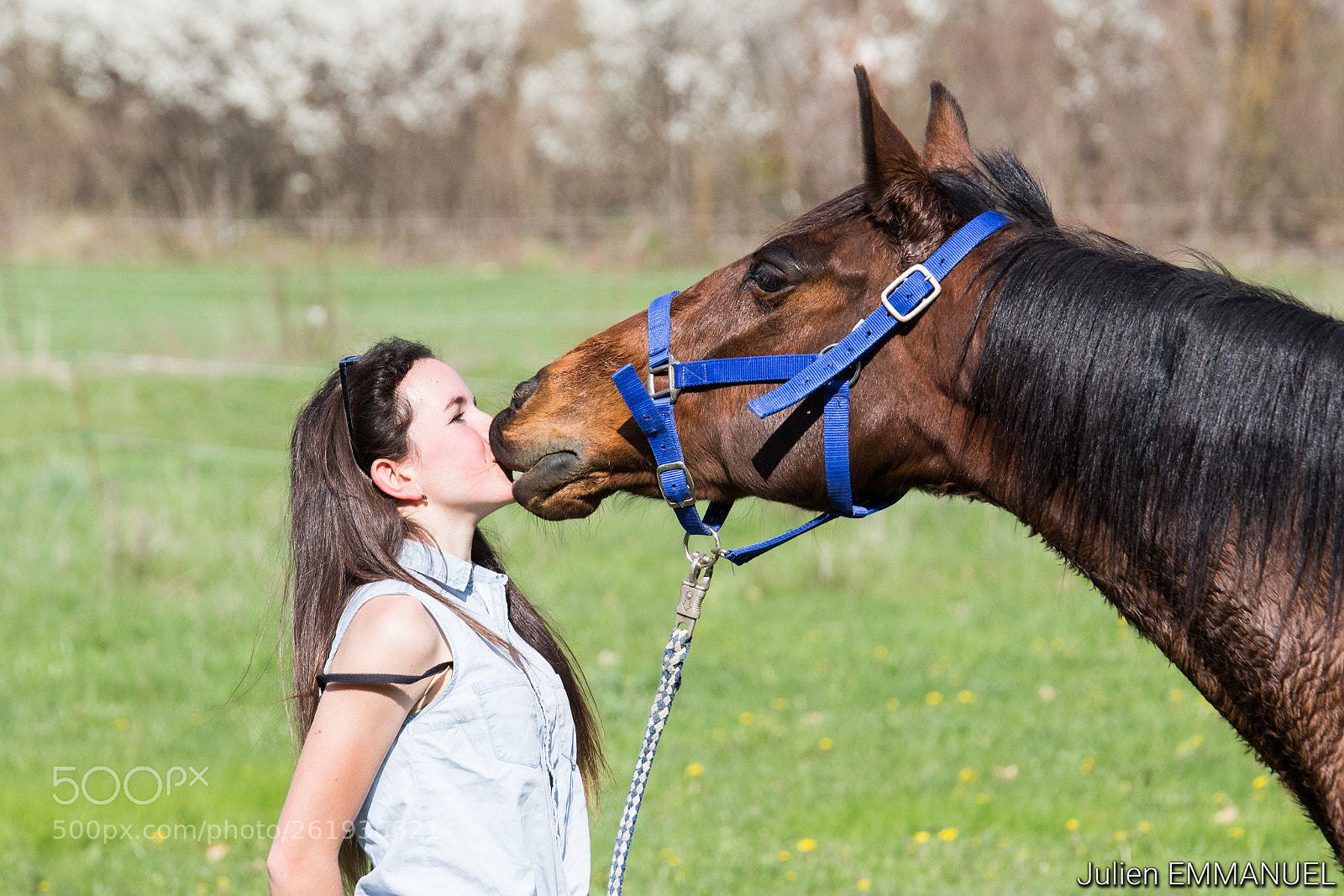 Canon EOS 700D (EOS Rebel T5i / EOS Kiss X7i) sample photo. Horse kiss photography
