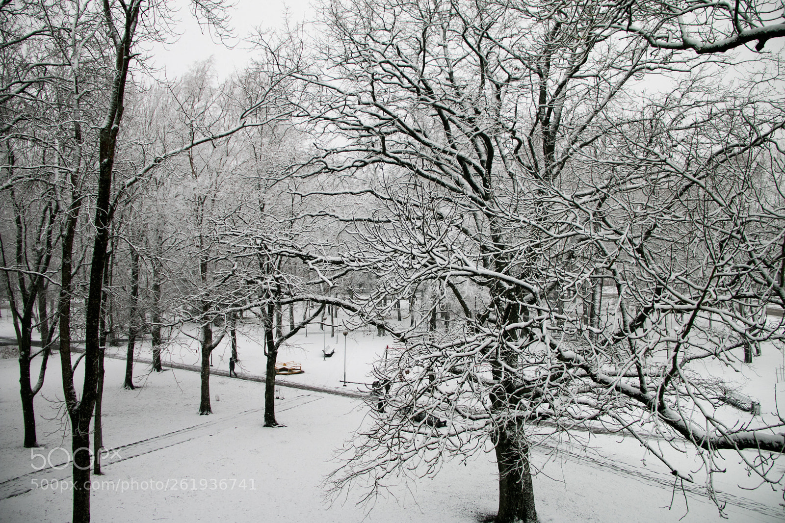 Canon EOS 70D sample photo. Winter park photography