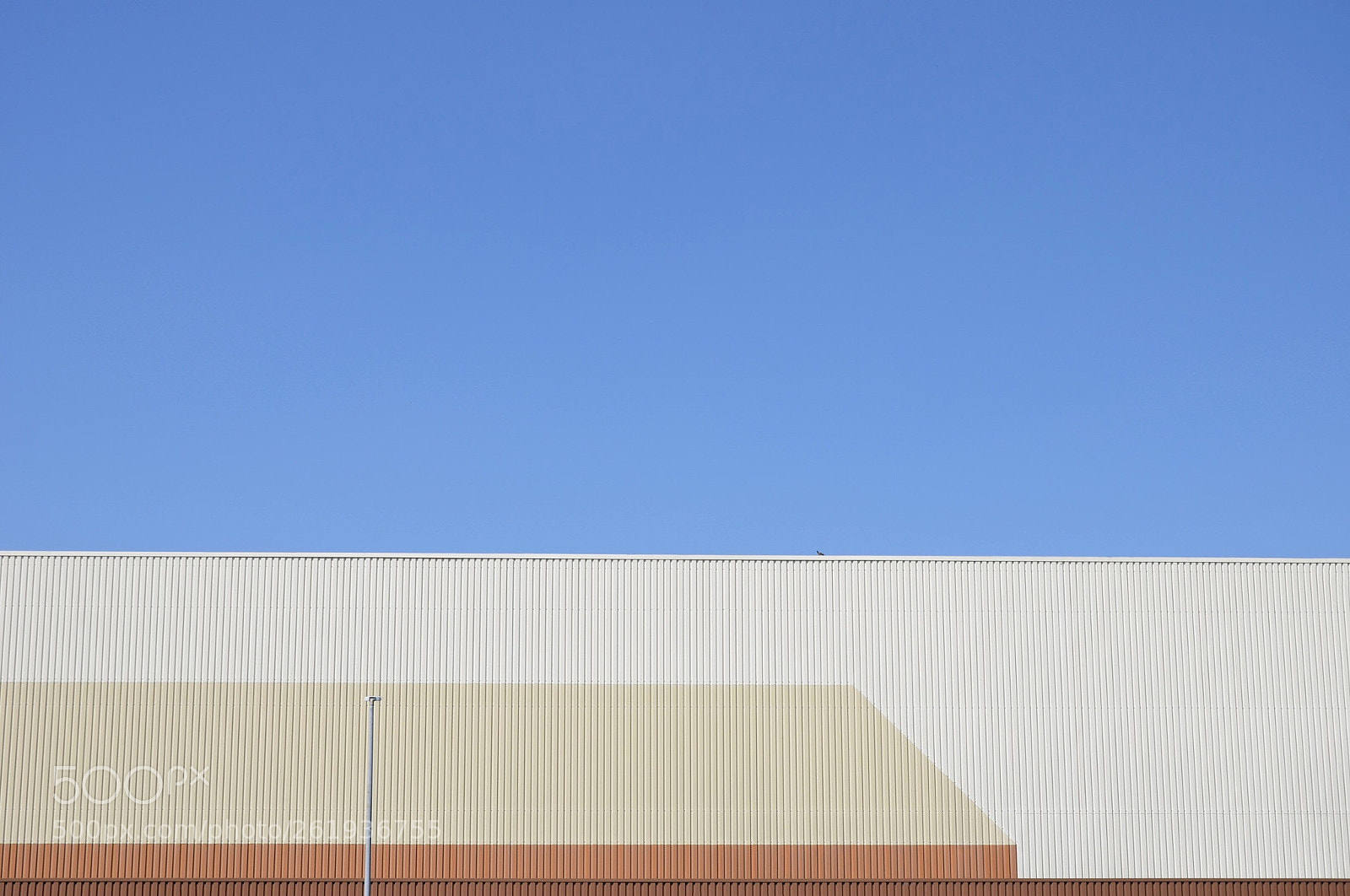 Nikon D7000 sample photo. Lost bird photography